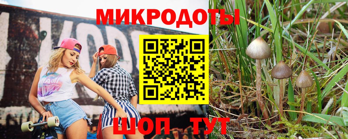 Галлюциногенные грибы Magic Shrooms  Псилоцибиновые грибы мицелий  Вход с VPN  Бор 