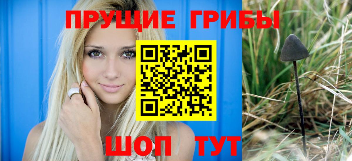 Галлюциногенные грибы Cubensis Бор